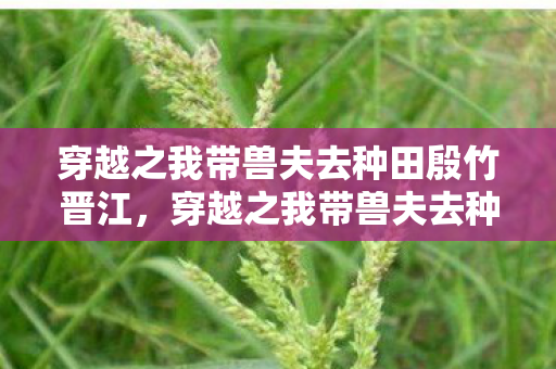 穿越之我带兽夫去种田殷竹晋江，穿越之我带兽夫去种田