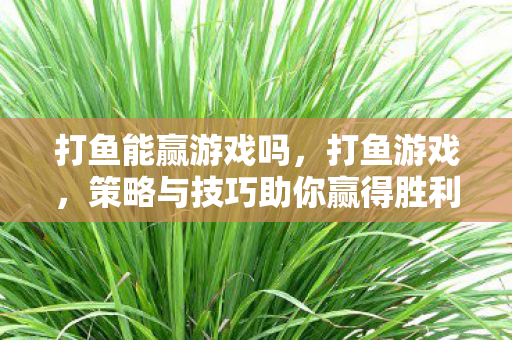 打鱼能赢游戏吗，打鱼游戏，策略与技巧助你赢得胜利