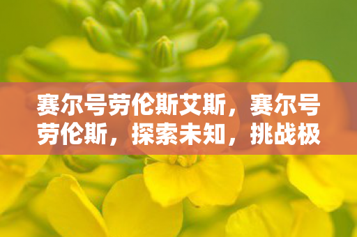 赛尔号劳伦斯艾斯，赛尔号劳伦斯，探索未知，挑战极限