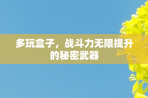 多玩盒子,战斗力无限提升的秘密武器 多玩盒子,战斗力无限提升的秘密武器
