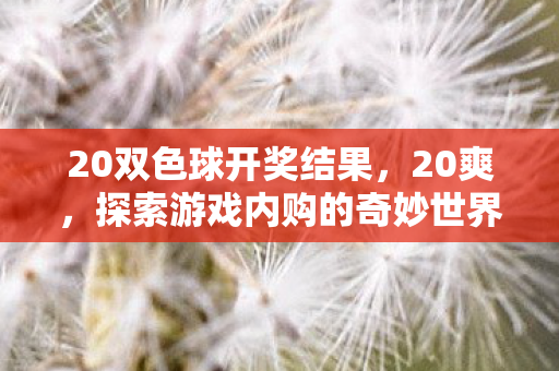 20双色球开奖结果，20爽，探索游戏内购的奇妙世界