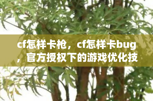cf怎样卡枪，cf怎样卡bug，官方授权下的游戏优化技巧