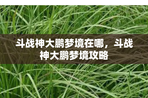 斗战神大鹏梦境在哪，斗战神大鹏梦境攻略