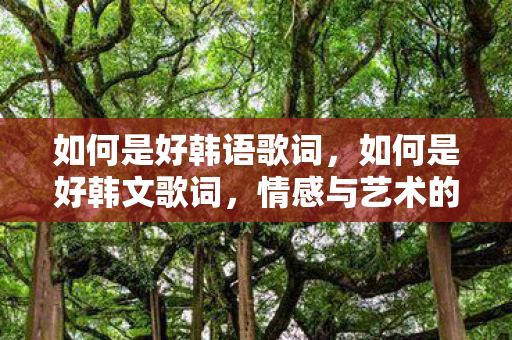 如何是好韩语歌词，如何是好韩文歌词，情感与艺术的交织