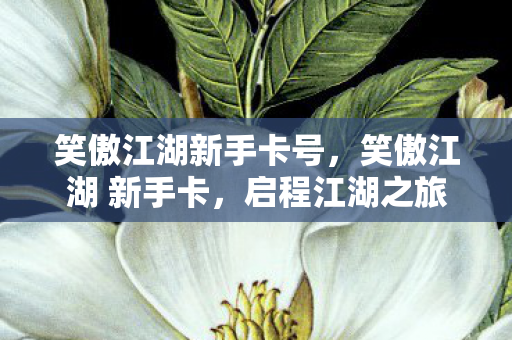 笑傲江湖新手卡号，笑傲江湖 新手卡，启程江湖之旅的钥匙