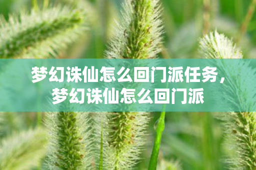 梦幻诛仙怎么回门派任务，梦幻诛仙怎么回门派