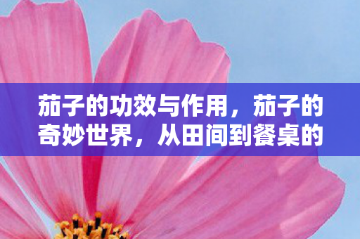 茄子的功效与作用，茄子的奇妙世界，从田间到餐桌的奇妙旅程