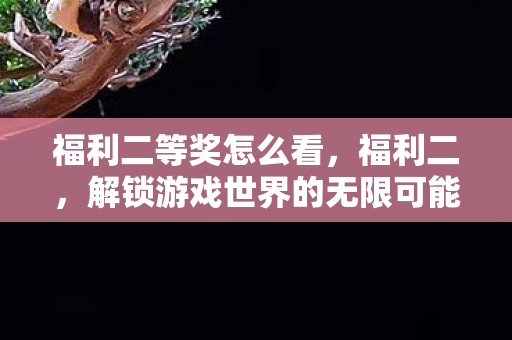 福利二等奖怎么看，福利二，解锁游戏世界的无限可能