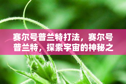 赛尔号普兰特打法，赛尔号普兰特，探索宇宙的神秘之旅