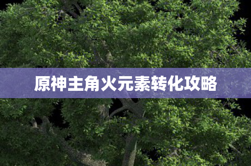 原神主角火元素转化攻略