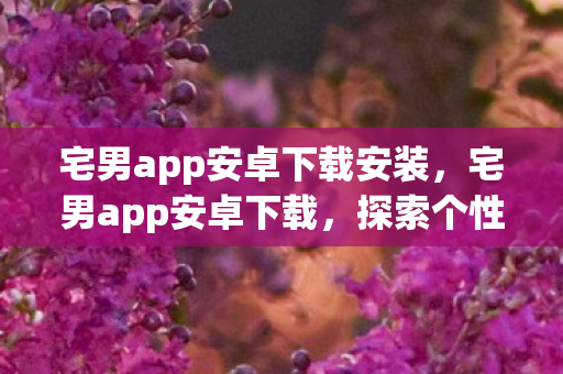 宅男app安卓下载安装，宅男app安卓下载，探索个性化娱乐的新世界