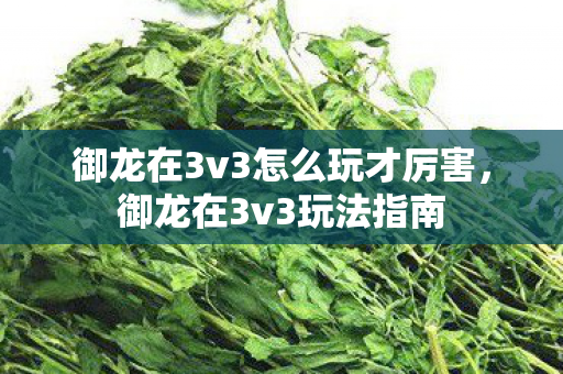 御龙在3v3怎么玩才厉害，御龙在3v3玩法指南