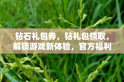 钻石礼包券，钻礼包领取，解锁游戏新体验，官方福利大放送！