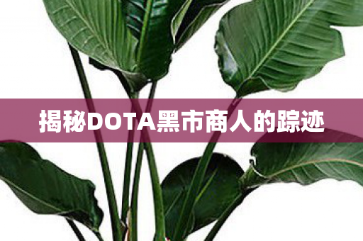 揭秘DOTA黑市商人的踪迹
