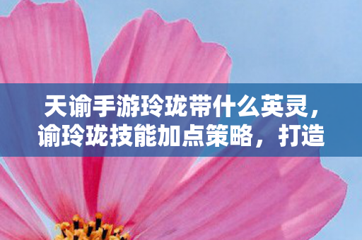 天谕手游玲珑带什么英灵，谕玲珑技能加点策略，打造高效战斗力的关键