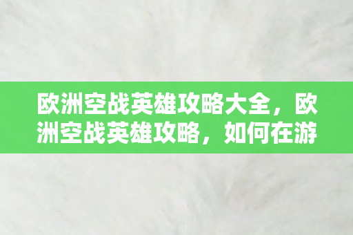 欧洲空战英雄攻略大全，欧洲空战英雄攻略，如何在游戏中成为顶尖飞行员