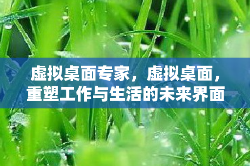 虚拟桌面专家，虚拟桌面，重塑工作与生活的未来界面