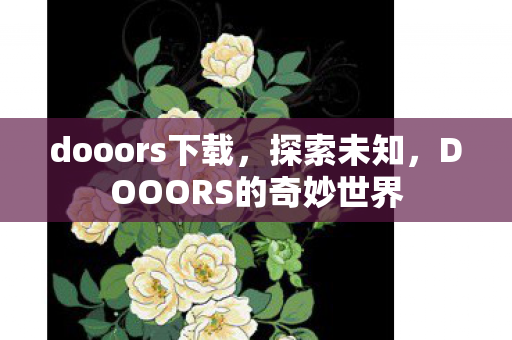 dooors下载，探索未知，DOOORS的奇妙世界
