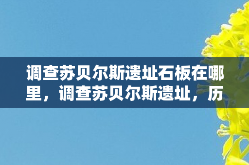 调查苏贝尔斯遗址石板在哪里，调查苏贝尔斯遗址，历史的见证与文化的传承