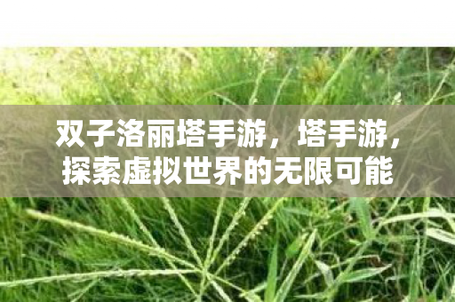 双子洛丽塔手游，塔手游，探索虚拟世界的无限可能