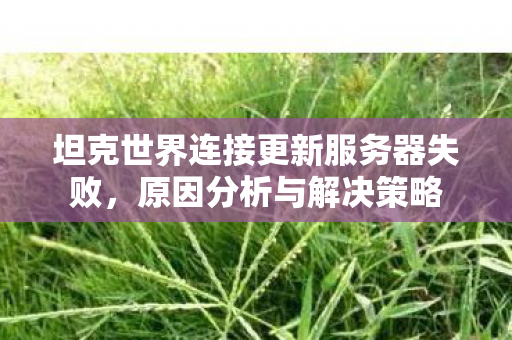 坦克世界连接更新服务器失败，原因分析与解决策略