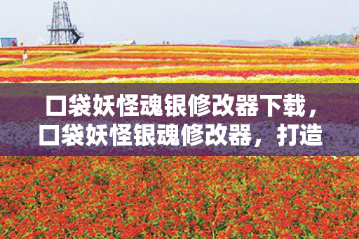 口袋妖怪魂银修改器下载，口袋妖怪银魂修改器，打造个性化游戏体验的利器