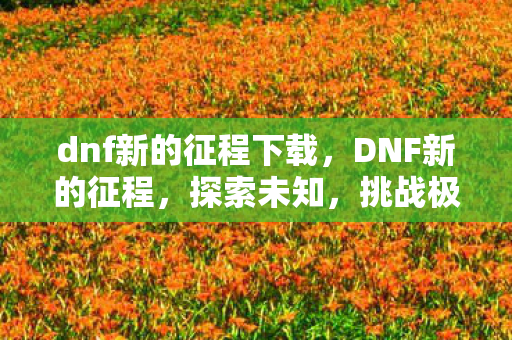 dnf新的征程下载，DNF新的征程，探索未知，挑战极限