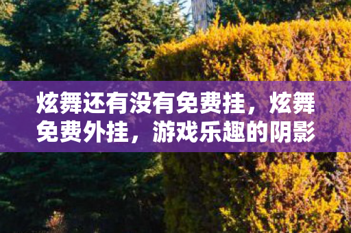 炫舞还有没有免费挂，炫舞免费外挂，游戏乐趣的阴影