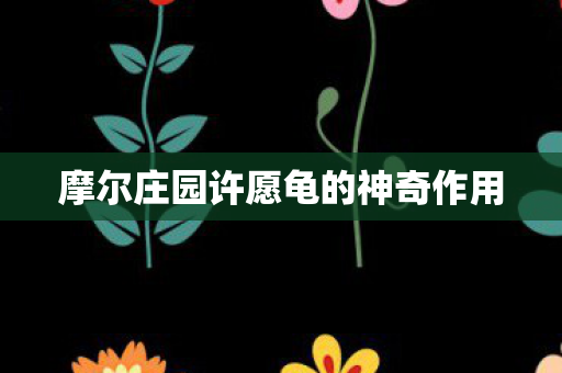 摩尔庄园许愿龟的神奇作用