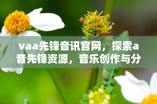 vaa先锋音讯官网，探索a音先锋资源，音乐创作与分享的新纪元