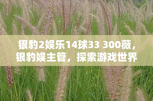 银豹2娱乐14球33 300薇，银豹娱主管，探索游戏世界的多元体验