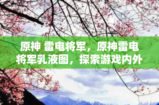 原神 雷电将军，原神雷电将军乳液图，探索游戏内外的美学与情感