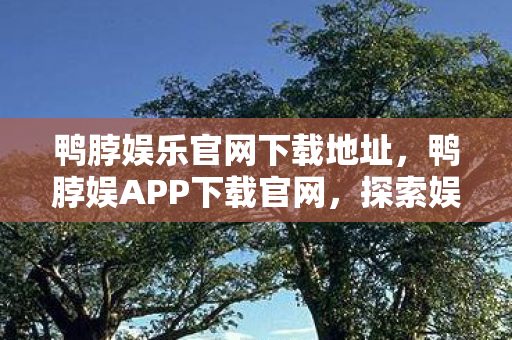鸭脖娱乐官网下载地址，鸭脖娱APP下载官网，探索娱乐新境界，尽享高清影视盛宴