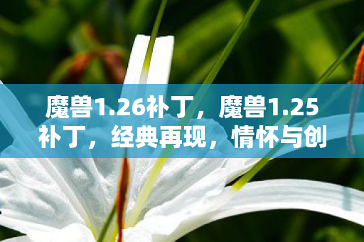 魔兽1.26补丁，魔兽1.25补丁，经典再现，情怀与创新的完美融合