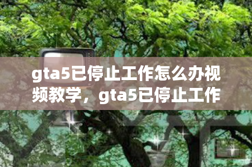 gta5已停止工作怎么办视频教学，gta5已停止工作，深度解析游戏崩溃背后的原因与解决方案
