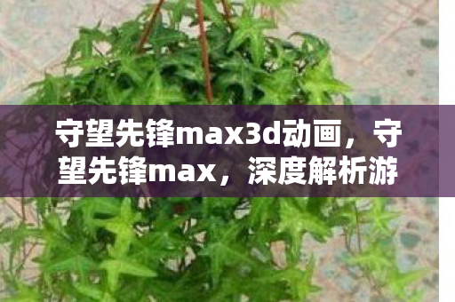 守望先锋max3d动画，守望先锋max，深度解析游戏数据，提升玩家竞技水平