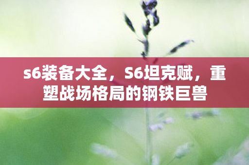 s6装备大全，S6坦克赋，重塑战场格局的钢铁巨兽