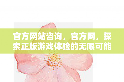 官方网站咨询，官方网，探索正版游戏体验的无限可能