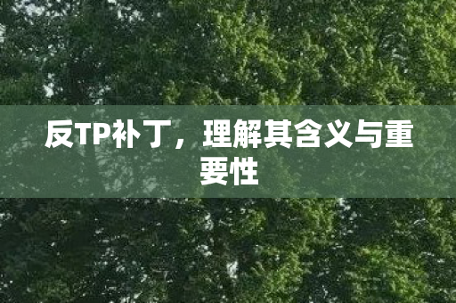 反TP补丁，理解其含义与重要性