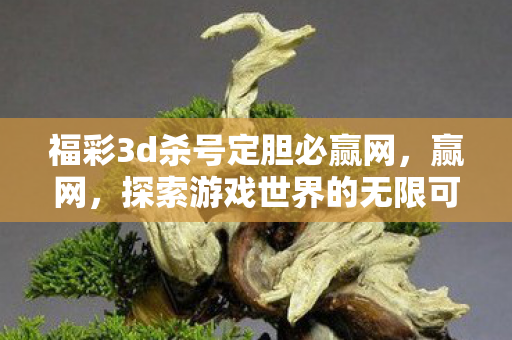 福彩3d杀号定胆必赢网，赢网，探索游戏世界的无限可能