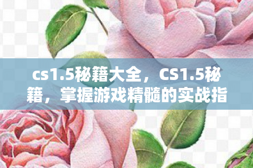 cs1.5秘籍大全，CS1.5秘籍，掌握游戏精髓的实战指南