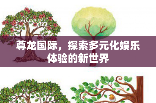 尊龙国际，探索多元化娱乐体验的新世界