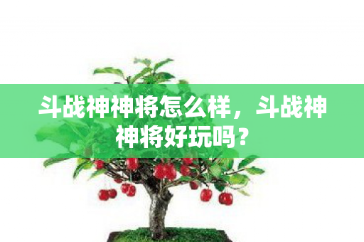 斗战神神将怎么样，斗战神神将好玩吗？