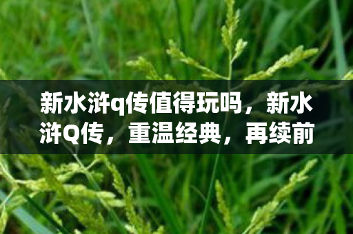 新水浒q传值得玩吗，新水浒Q传，重温经典，再续前缘