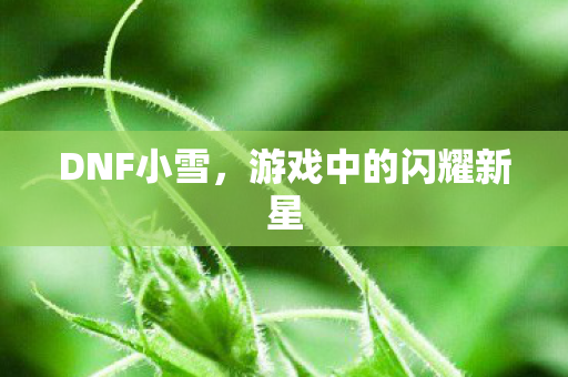 DNF小雪，游戏中的闪耀新星