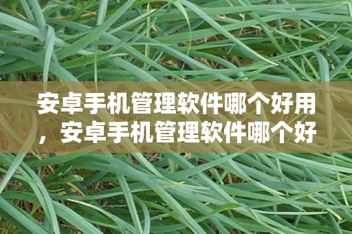 安卓手机管理软件哪个好用，安卓手机管理软件哪个好，全面解析与推荐