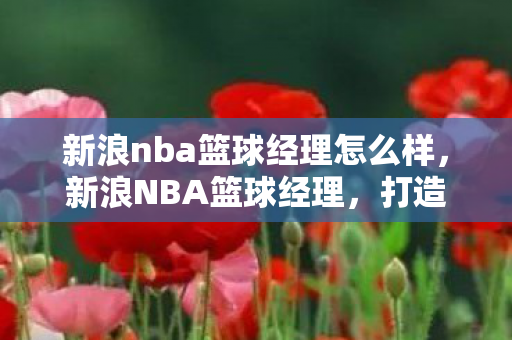 新浪nba篮球经理怎么样，新浪NBA篮球经理，打造专业篮球管理新体验