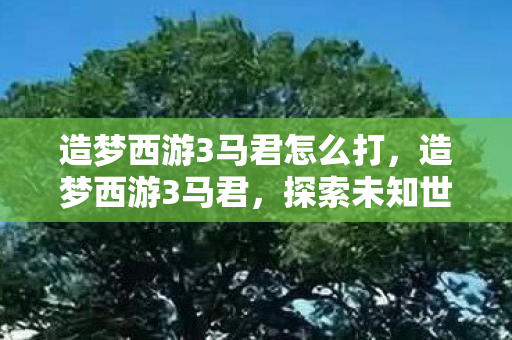 造梦西游3马君怎么打，造梦西游3马君，探索未知世界的奇妙之旅