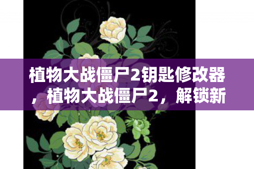 植物大战僵尸2钥匙修改器，植物大战僵尸2，解锁新世界的钥匙