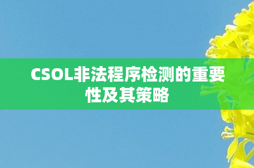 CSOL非法程序检测的重要性及其策略